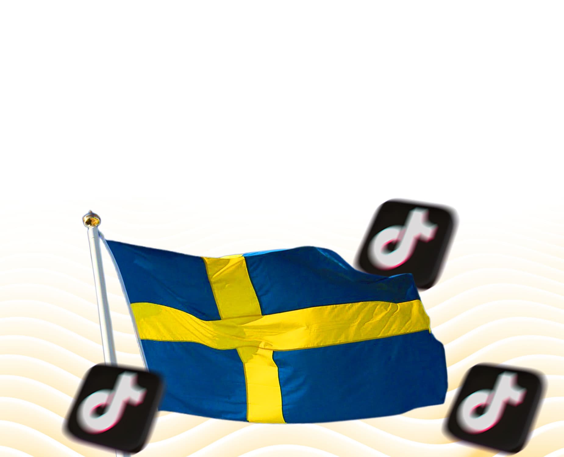 Cover Image for 12 Must-Follow Swedish Micro-Influencers on TikTok in 2025